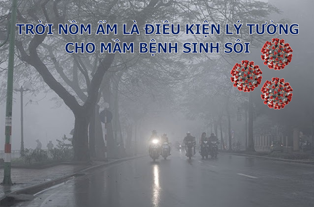 Trời nồm ẩm tăng nguy cơ mắc bệnh đường hô hấp: Làm gì để bảo vệ bản thân?