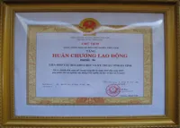Thi đua khen thưởng